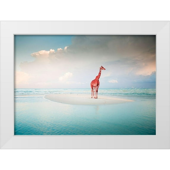 Arlo Wren Photos 18x14 White Modern Wood Framed Museum Art Print Titled - Oceanic Savannah