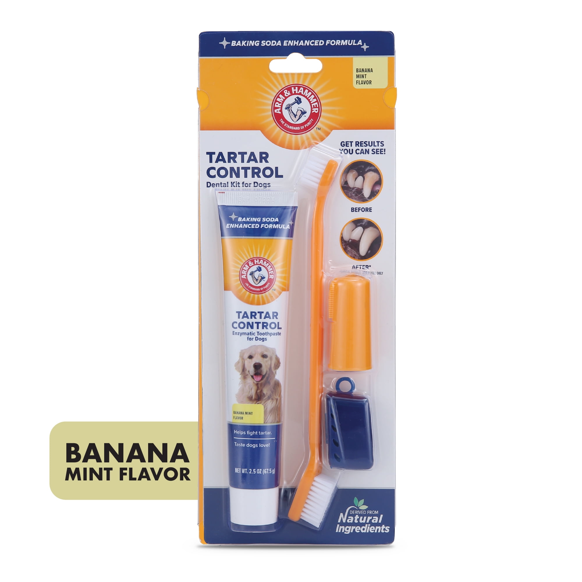Arm Hammer Advanced Care 3 Piece Dog Dental Kit Banana Mint