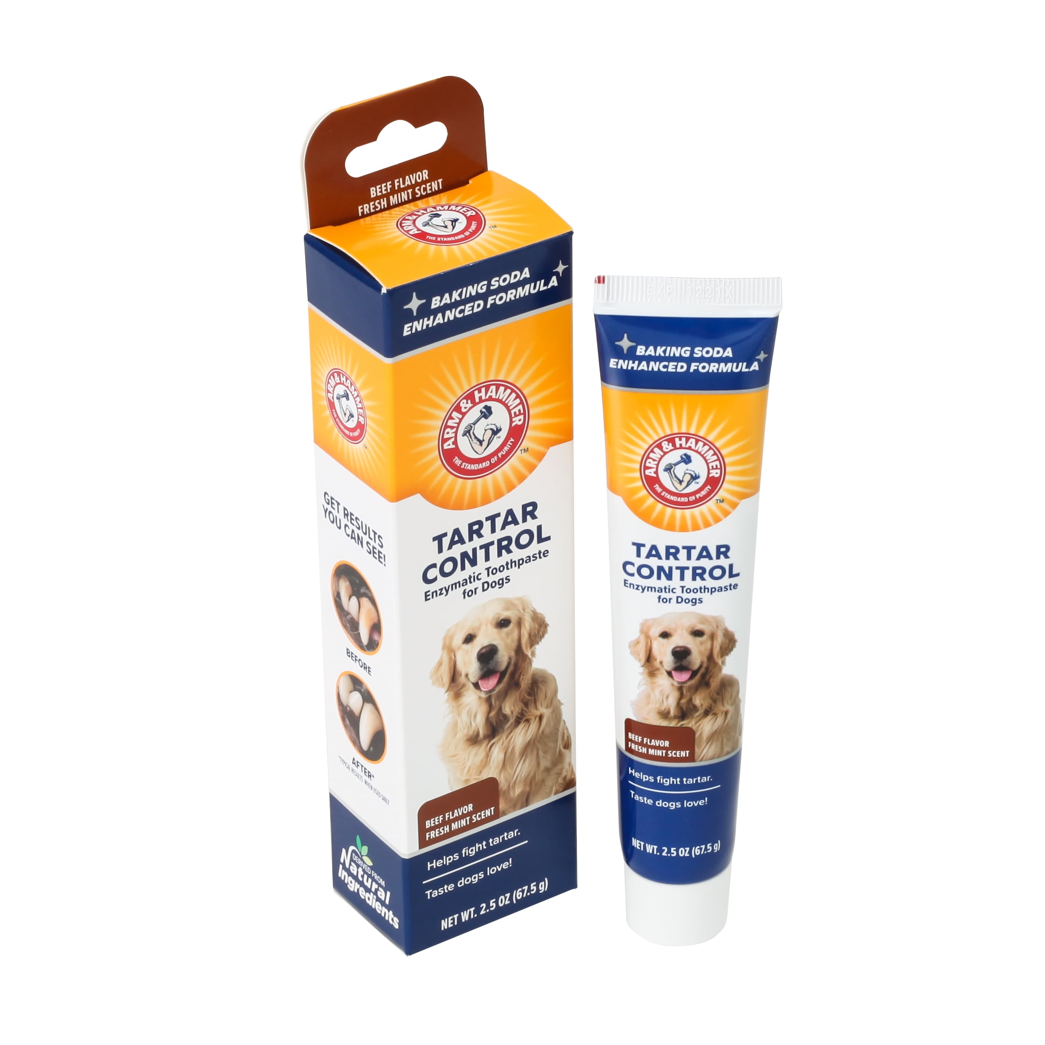 Arm & Hammer Pets Tartar Control Enzymatic Toothpaste for Dogs Puppies Beef Flavor 2.5 oz