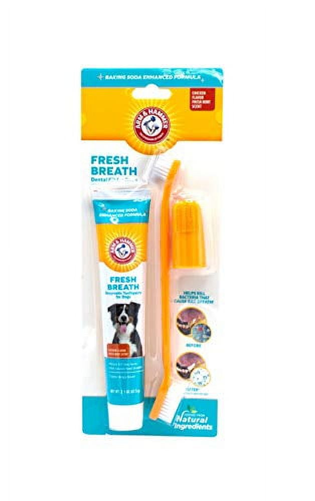 Safe toothpaste for clearance dogs