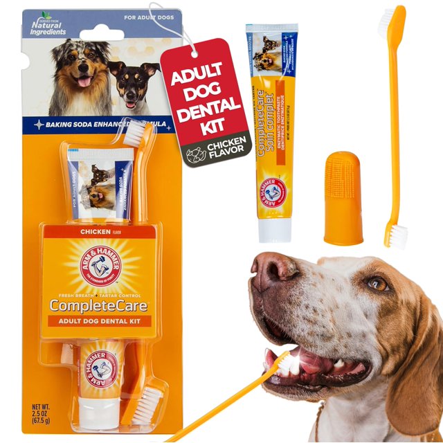 Arm & Hammer Dog OIF8 Dental Kit Enzymatic Dog Toothpaste Flavor