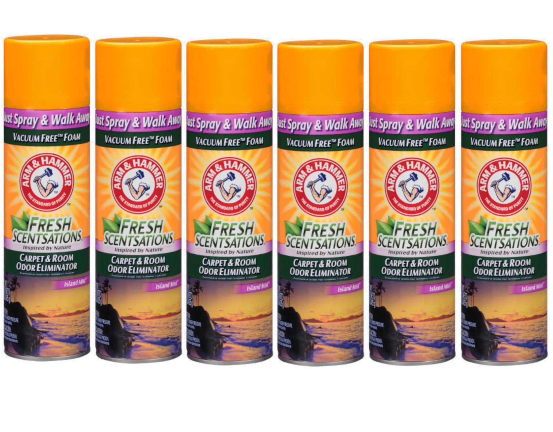 Arm Hammer Fresh Scentsations Carpet Room Odor Eliminator Vacuum Free Foam Island Mist Scent 15 Ounce 6 Pack Walmart