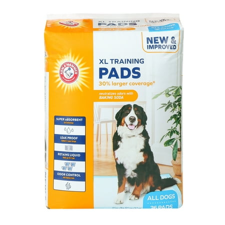 Arm & Hammer XL Dog Training Pads, Super Absorbent, 36 Count, Leak Proof