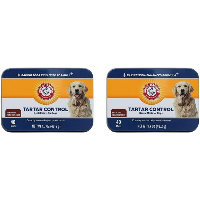 Arm & Hammer for Pets HYZ01 Tartar Control Dental Mints for Dogs Dog