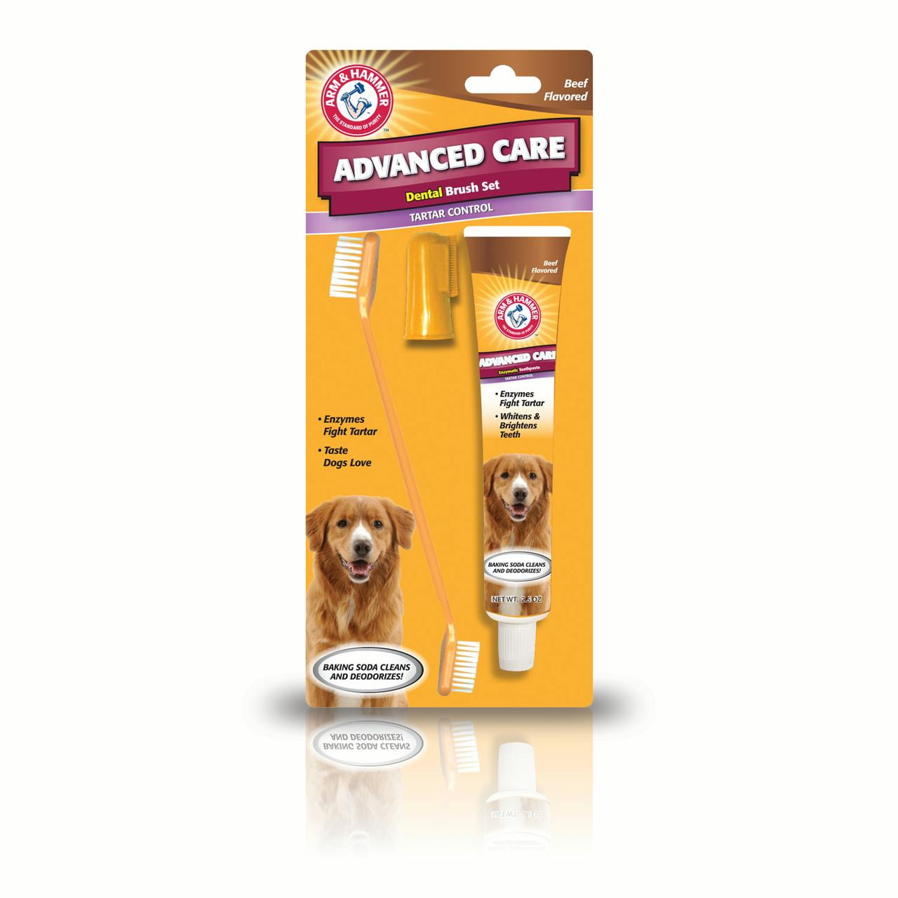 Arm and hammer dog toothbrush 2025