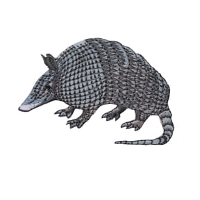 Armadillo - 9-Banded - Animals - Iron On Applique/Embroidered Patch
