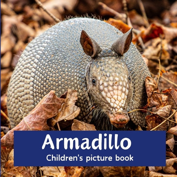 Armadillo: Children's picture book, (Paperback)
