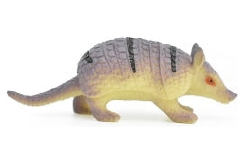Armadillo-Cingulata-Very-Nice-
