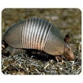 thumbnail image 1 of Armadillo Mousepad, 1 of 1