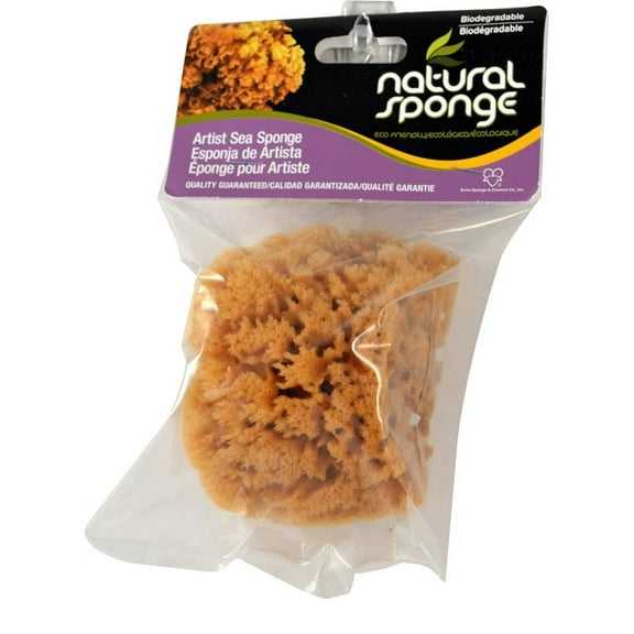 Armaly ProPlus 15217-4 Textured Painting Sponge, 5 in W, Coarse