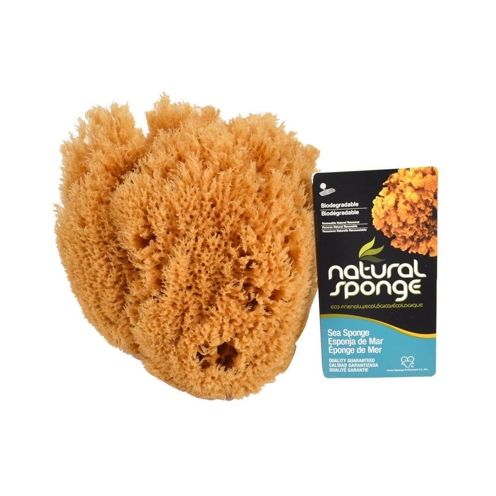 Armaly Proplus 46000 (SW #1-7080C) Seawool Sponge, 7" to 8", Natural ...
