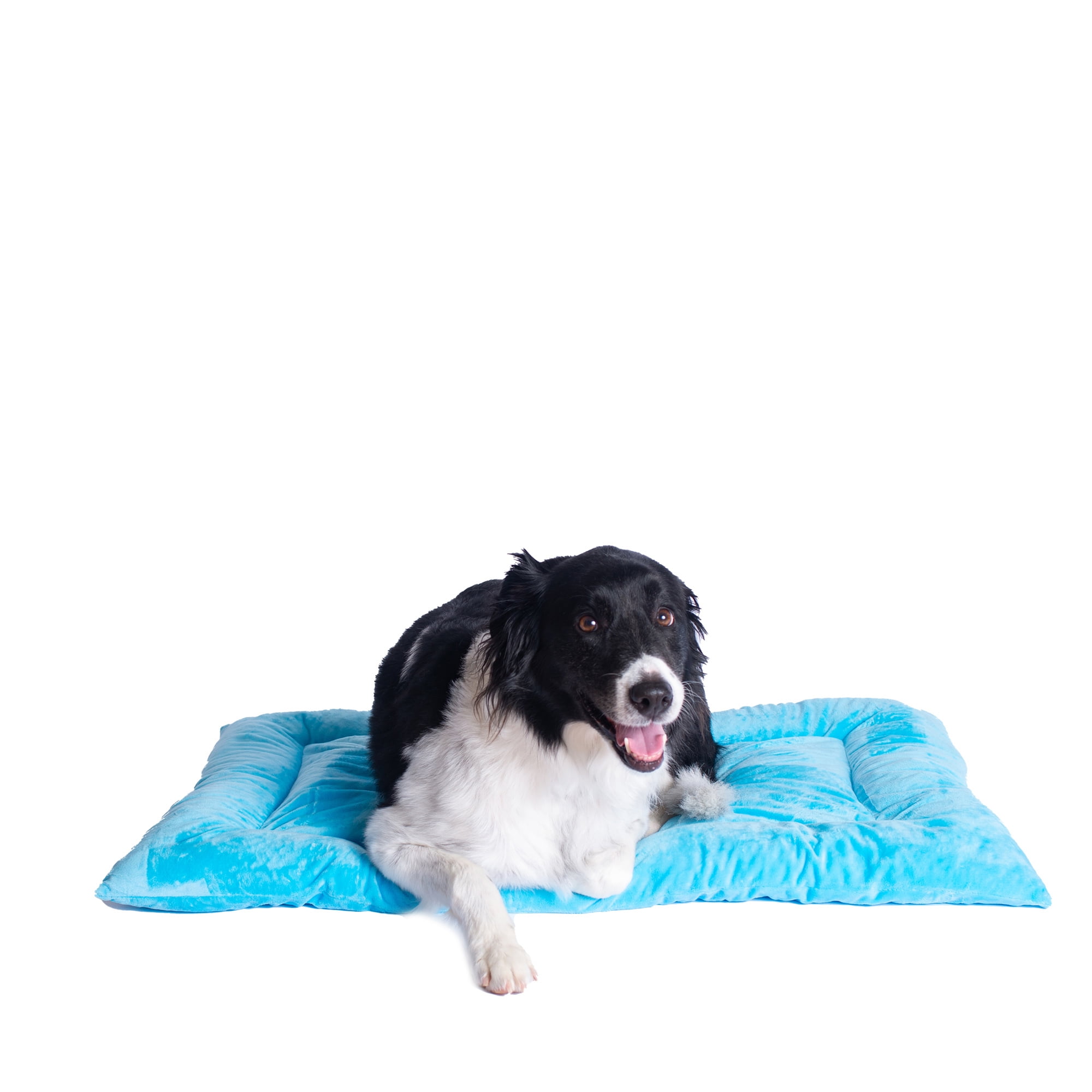 Large Sky Blue Velvet Pet Bed Mat with Padded Border