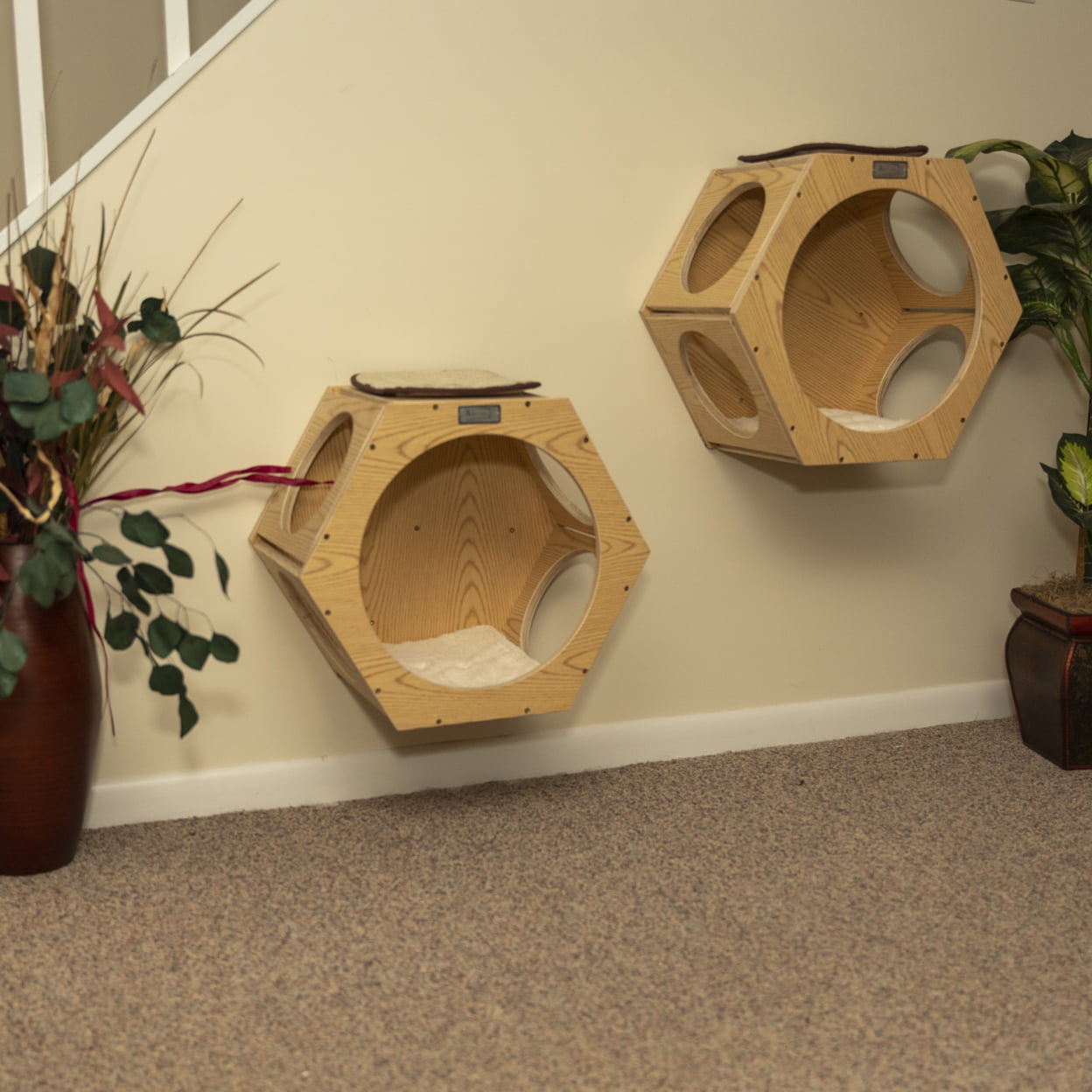 Natural Wood Hexagonal Wall-Mounted Cat Shelves Set