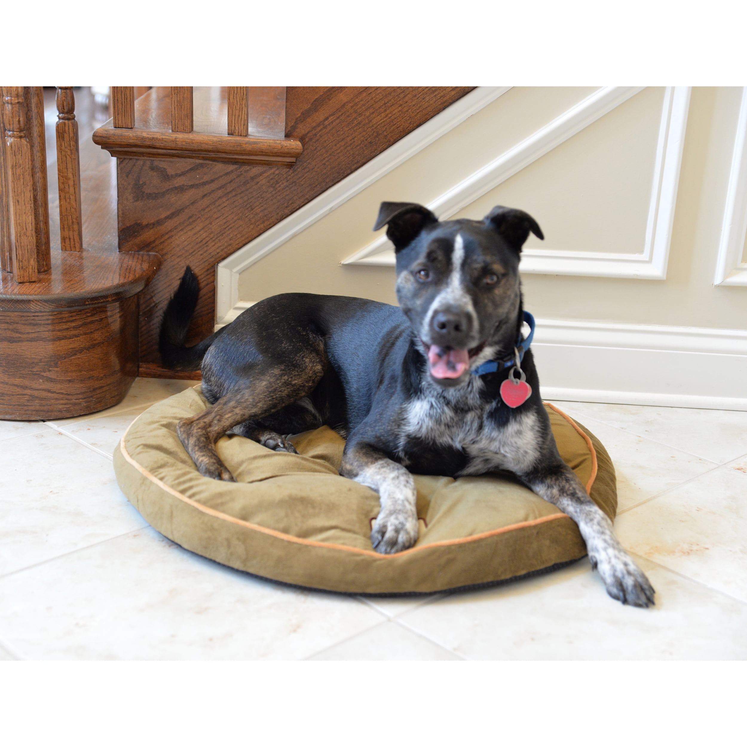 Small Sage Green Velvet Waterproof Outdoor Pet Bed