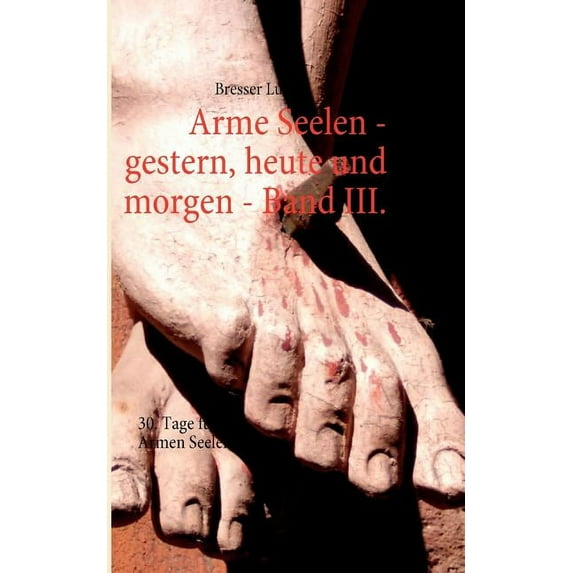 Arme Seelen - gestern, heute und morgen - Band III.: 30 Tage fÃ¼r die Armen Seelen, (Paperback)