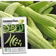 thumbnail image 1 of Armenian Pale Green Cucumber Seeds, 100 Heirloom Seeds Per Packet, Non GMO Seeds, Isla's Garden Seeds, 1 of 9
