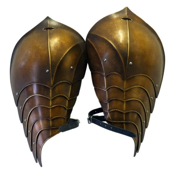Armor, Elven Style Shoulder Armour, Wyvern Pauldrons, SCA, cosplay, armor