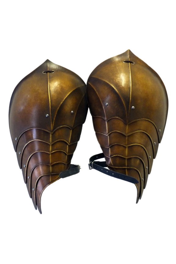Armor, Elven Style Shoulder Armour, Wyvern Pauldrons, SCA, cosplay, armor