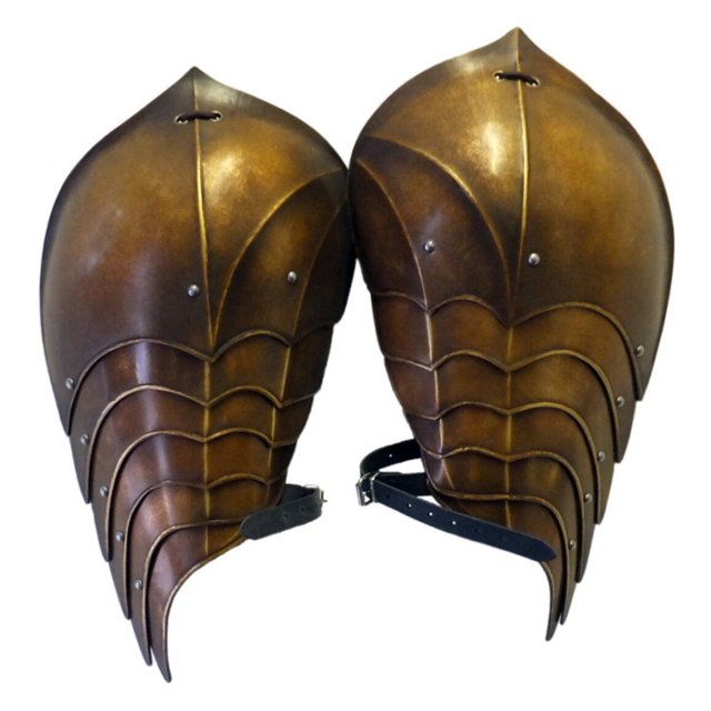 Armor, Elven Style Shoulder Armour, Wyvern Pauldrons, SCA, cosplay