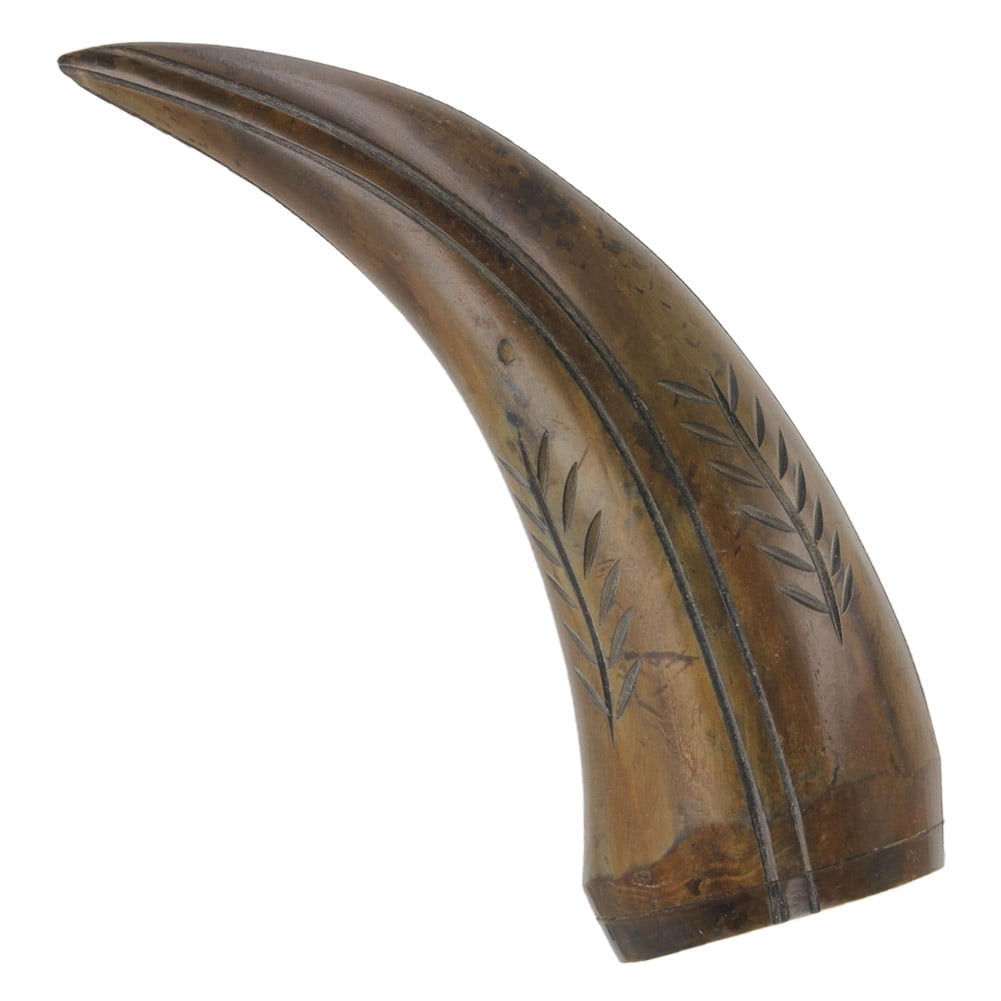 Armory Replicas Honey Locust Botanical Cow Horn Paperweight Natural ...