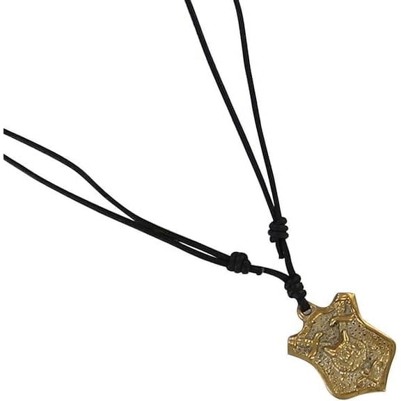 Armory Replicas Lions Head Shield Crest Necklace - Brass Pendant with Leather Adjustable Cord, 14.5 Inches - Medieval Lion Shield Design with Fleur De Lis, Cable Chain for Warriors