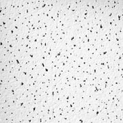 Armstrong 1x1 Fine Fissured Acoustic Mineral Fiber Ceiling Tiles for Suspended Ceiling Grids, 40-Tiles per Pack, White