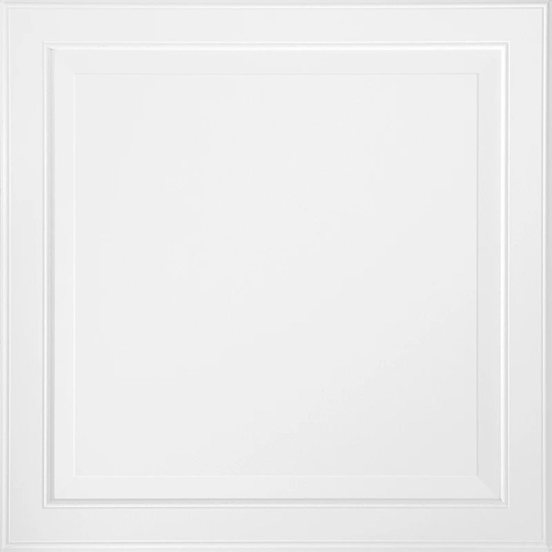 Armstrong 2x2 Single Raised Panel Acoustic Mineral Fiber Ceiling Tiles for Suspended Ceiling Grids, 6-Tiles per Pack, White