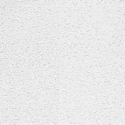 Armstrong 2x2 Textured Acoustic Mineral Fiber Ceiling Tiles for Suspended Ceiling Grids, 16-Tiles per Pack, White
