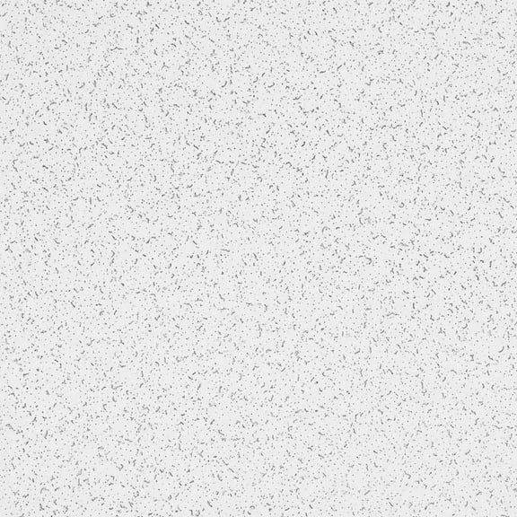 Armstrong 2x4 RANDOM TEXTURED Acoustic Mineral Fiber Ceiling Tiles for Suspended Ceiling Grids, 10-tiles per pack, White