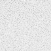 Armstrong 2x4 Random Textured Acoustic Mineral Fiber Ceiling Tiles for Suspended Ceiling Grids, 10-Tiles per Pack, White