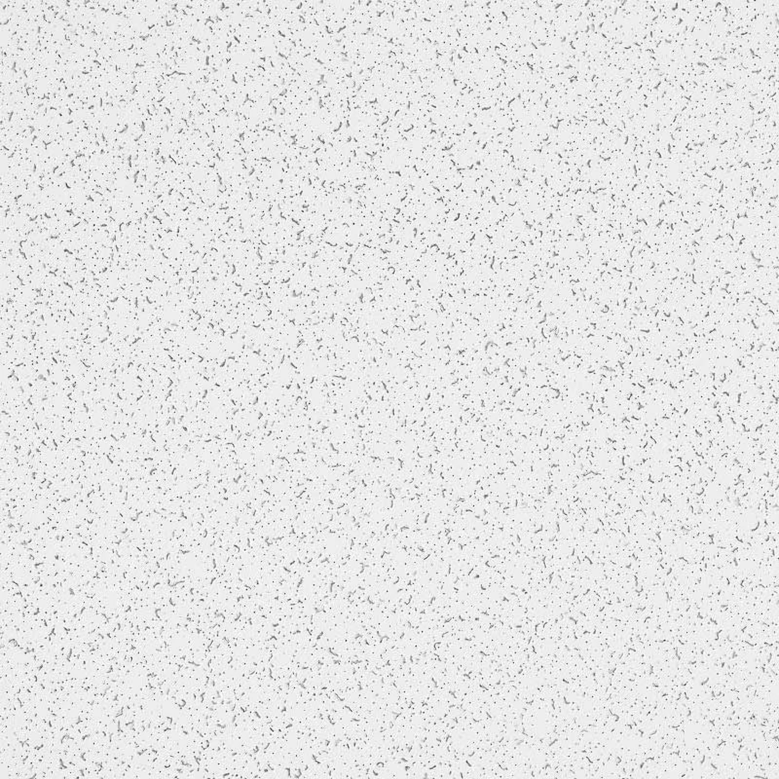 Armstrong 2x4 Random Textured Acoustic Mineral Fiber Ceiling Tiles for Suspended Ceiling Grids, 10-Tiles per Pack, White