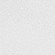 Armstrong 2x4 RANDOM TEXTURED Acoustic Ceiling Tiles for Suspended Ceiling Grids, 10-tiles per pack, White