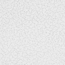 Armstrong 2x4 RANDOM TEXTURED Acoustic Ceiling Tiles for Suspended Ceiling Grids, 10-tiles per pack, White