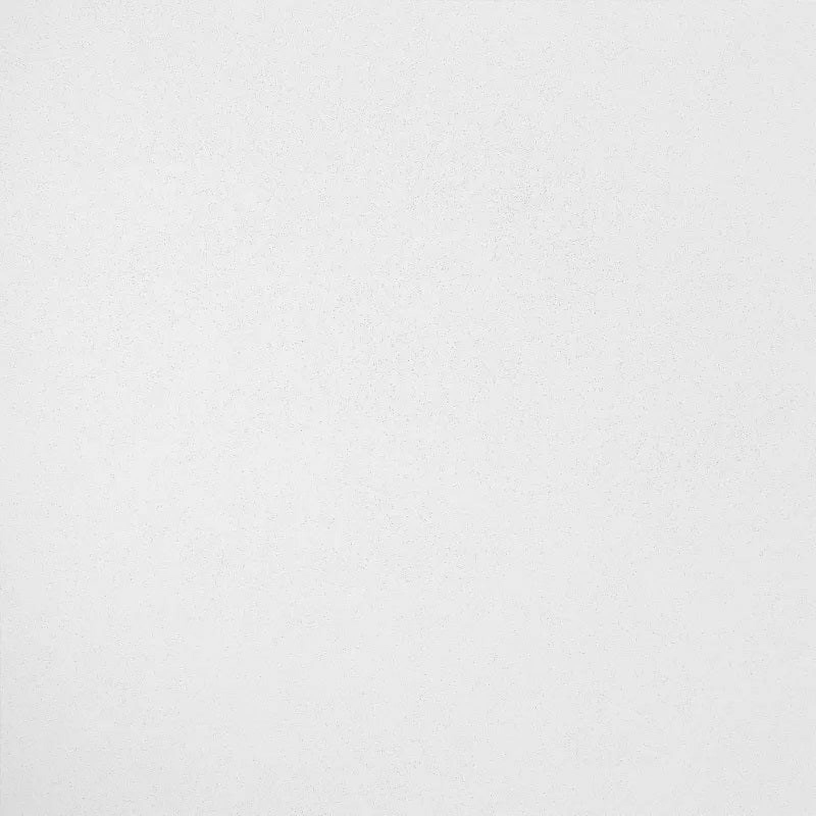 Yuma White 4-ft x 2-ft Mineral Fiber Drop Ceiling Tiles