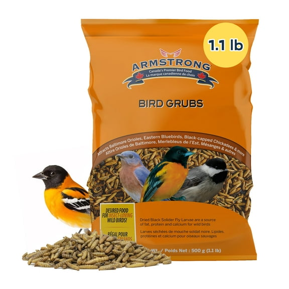 Armstrong Bird Grub Dried Black Soldier Fly Larvae, 1.1 Pounds - High-Calcium, Natural Mealworm Alternative for Orioles, Bluebirds, & Chickadees - Ideal for Outdoor Feeders