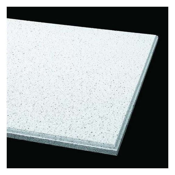 Armstrong Ceiling Tile,24 in L,24 in W,PK10 1758B