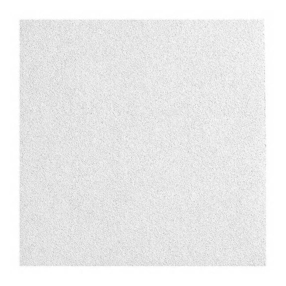 Armstrong Ceiling Tile,24 in L,24 in W,PK10 2820A