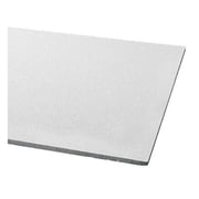 Ultima Ceiling Tile, 24 in W x 24 in L, Square Lay-In, 15/16 in Grid Size, 12 PK 1910A