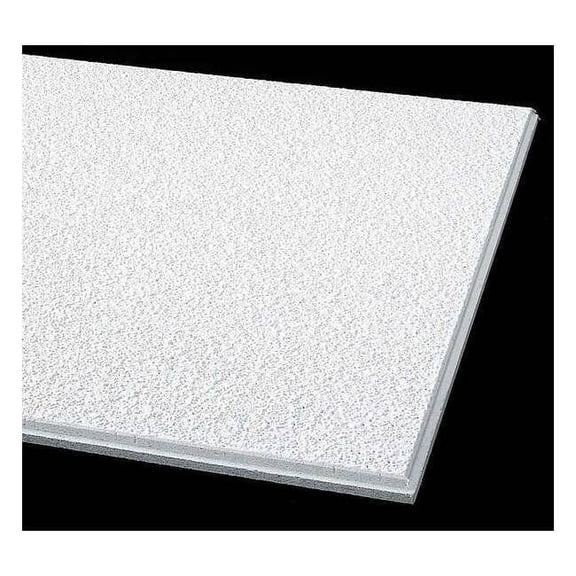 Armstrong Ceiling Tile,24 in L,24 in W,PK12 304A