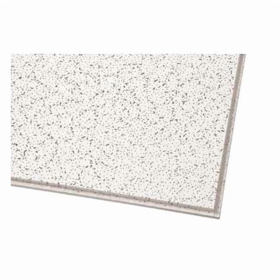 Cortega Ceiling Tile, 24 in W x 24 in L, Angled Tegular, 15/16 in Grid Size, 12 PK 816A