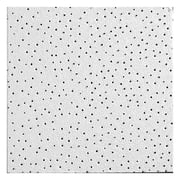 Armstrong Ceiling Tile,24 in L,24 in W,PK12 869B