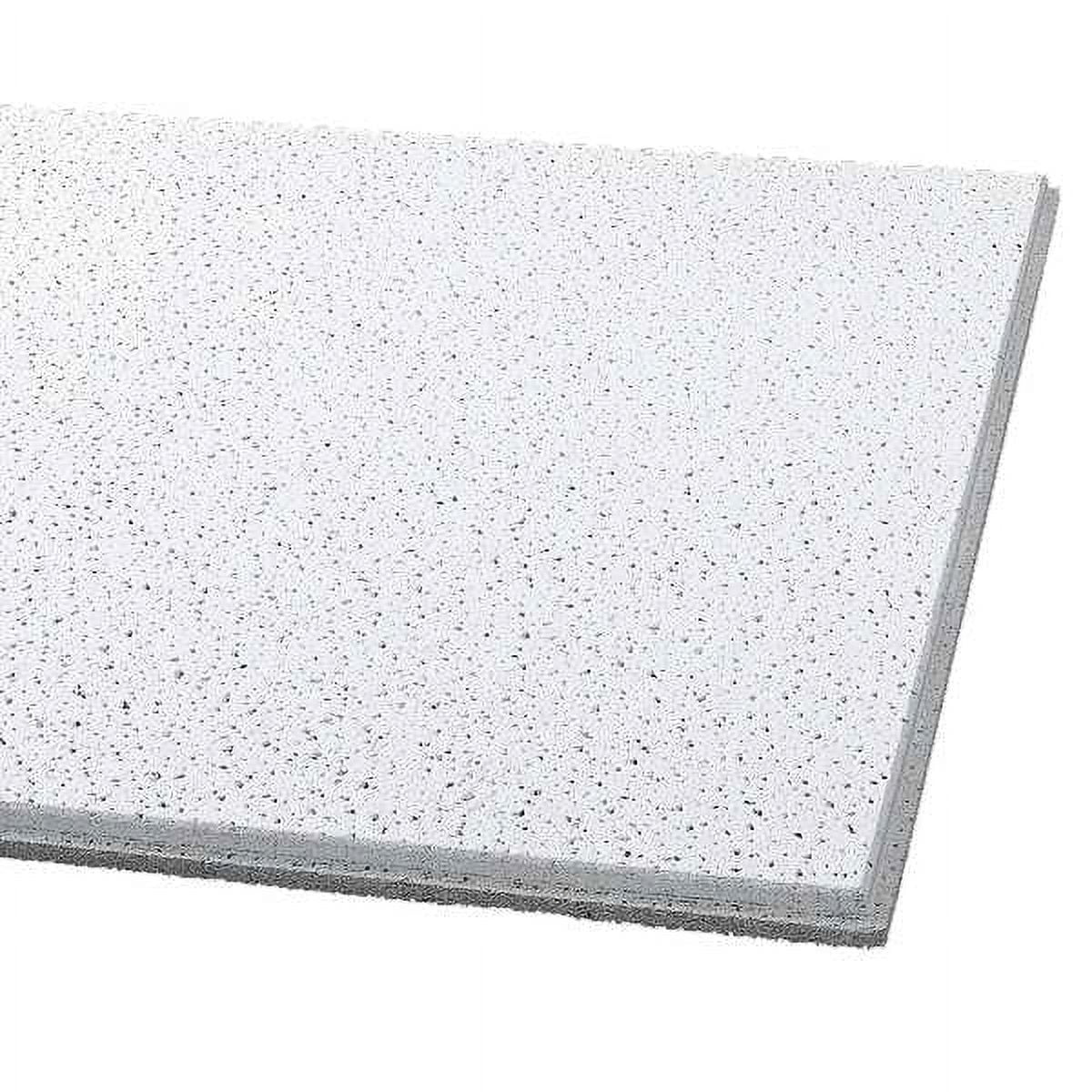 White Mineral Fiber 2 ft x 2 ft Acoustic Ceiling Tile