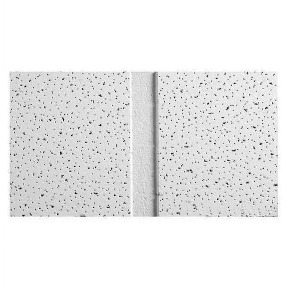 Armstrong Ceiling Tile,48 in L,24 in W,PK10 1761C