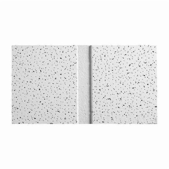 Fine Fissured Ceiling Tile, 24 in W x 48 in L, Angled Tegular, 15/16 in Grid Size, 10 PK