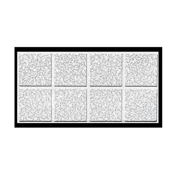 Armstrong Ceiling Tile,48 in L,24 in W,PK10 2765D