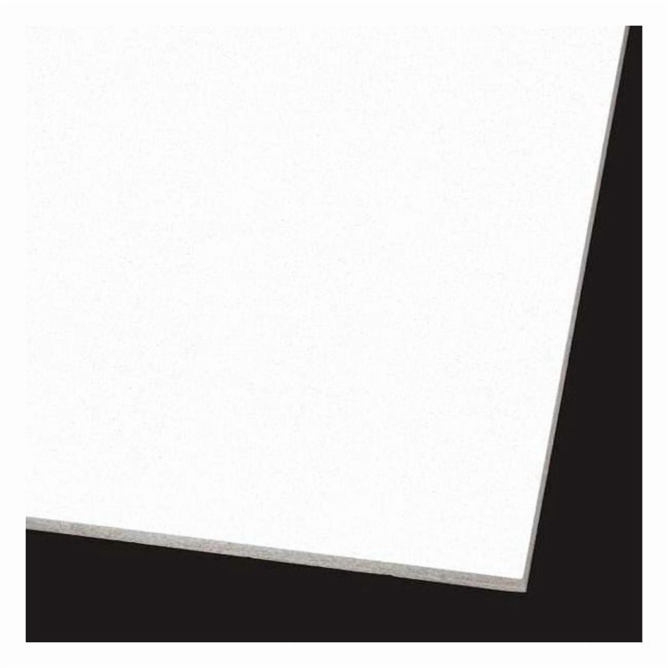 Ultima Square Lay In Ultima Ceiling Tile, 24 in W x 48 in L, Square Lay-In, 15/16 in Grid ...