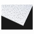 thumbnail image 1 of Armstrong Ceiling Tile,48 in L,24 in W,PK6 608A, 1 of 1