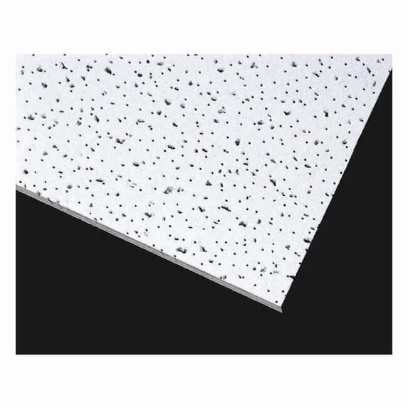 Armstrong Ceiling Tile,48 in L,24 in W,PK6 608A