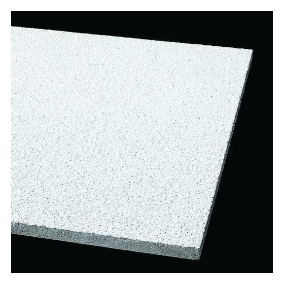 Armstrong Ceiling Tile,48 in L,24 in W,PK8 302A
