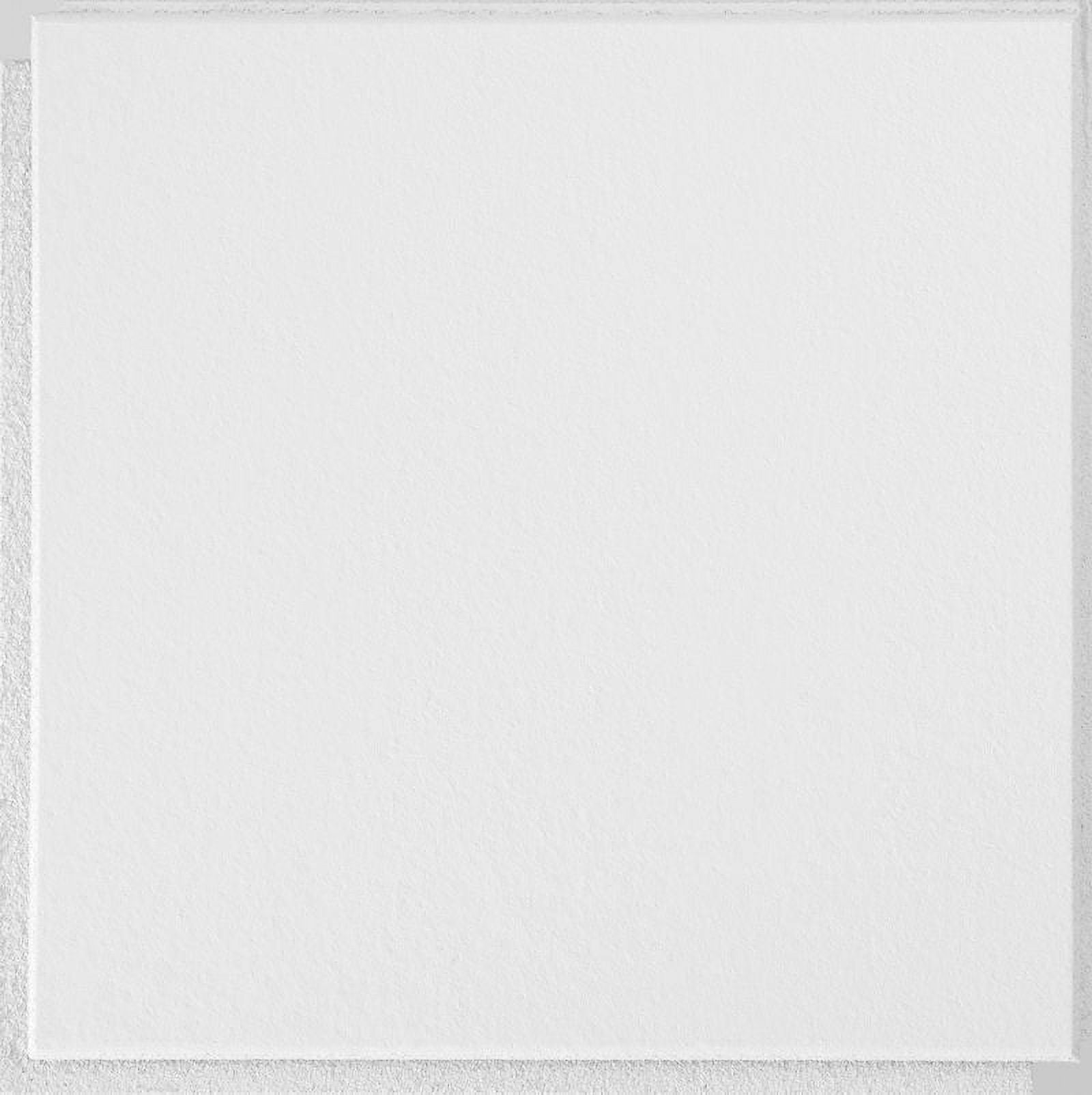 Washable White 1 ft x 1 ft Mineral Fiber Ceiling Tile